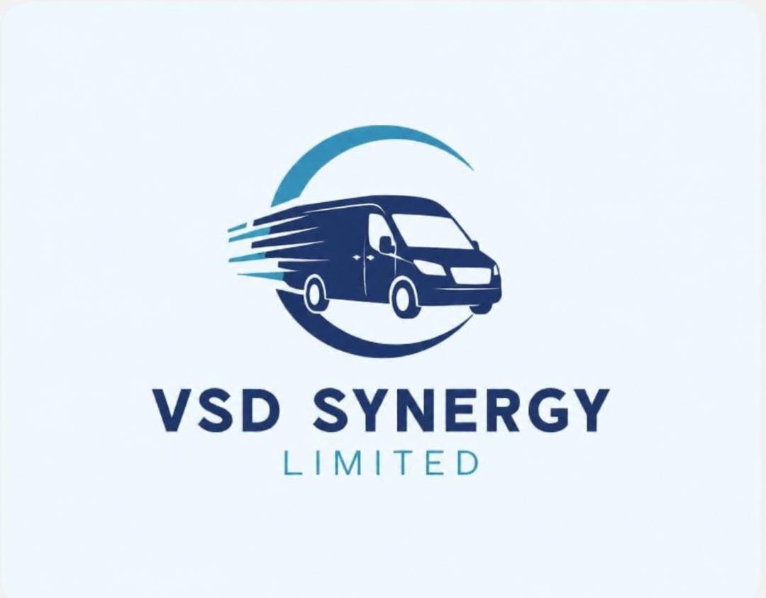 VSD Synergy Limited Logo