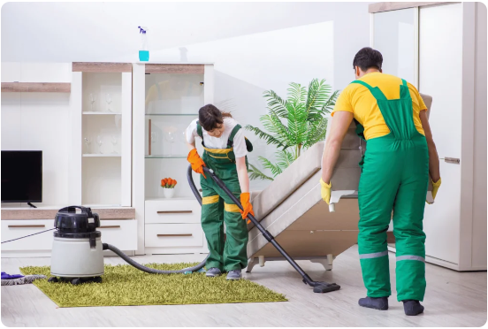 VSD Synergy Cleaning Service